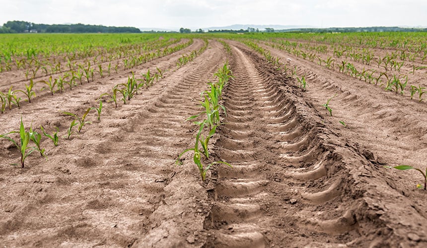 Wpływ nadmiernie napompowanych opon rolniczych na stan gleby i upraw