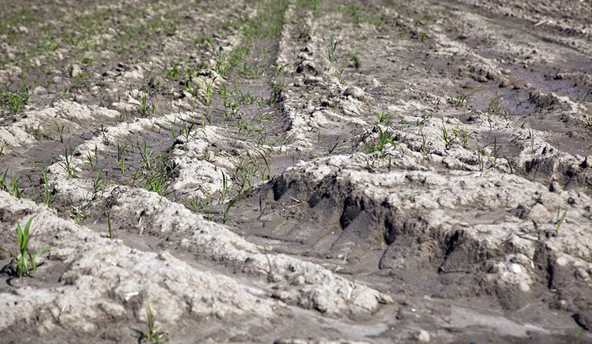 Erozja gleby spowodowana wielokrotnym przejazdem maszyn rolniczych